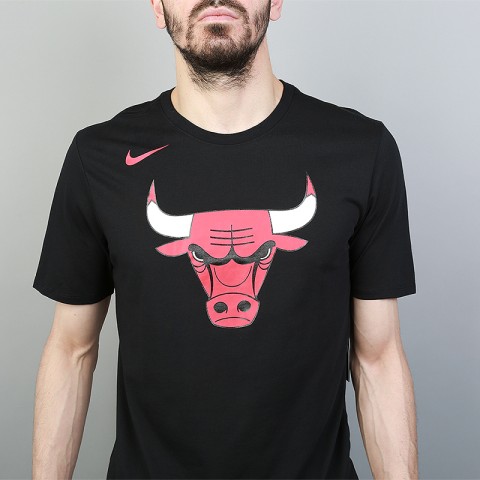 Мужская футболка NBA Chicago Bulls Dry Logo от Nike 870496 010 купить